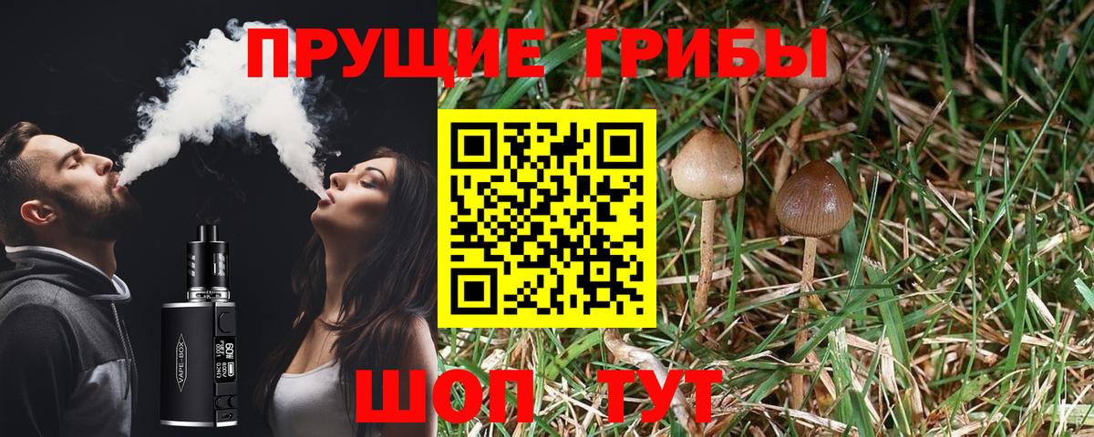 Галлюциногенные грибы MAGIC MUSHROOMS  Вход с VPN  Азнакаево 